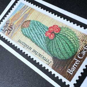 Barrel Cactus Desert Plant Framed Postage Stamp Art 4x4 USA #1942